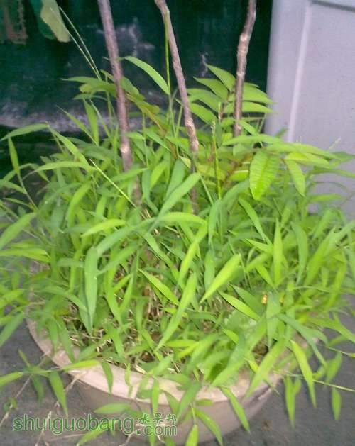 2013.6.27 005.jpg