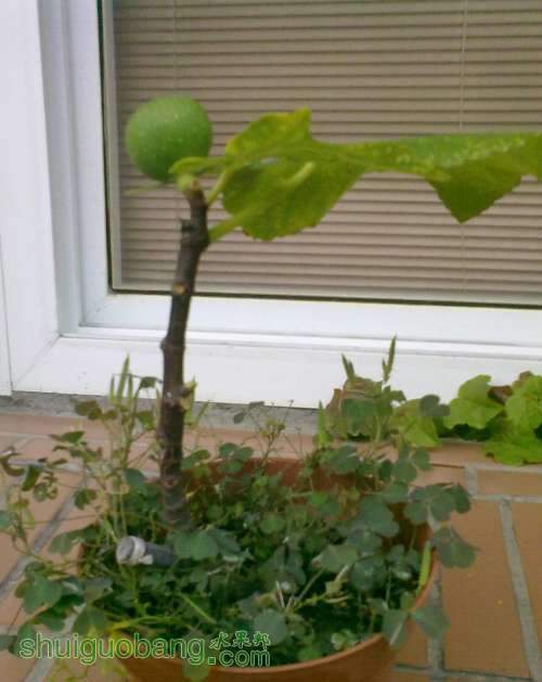 2013.6.27 008.jpg