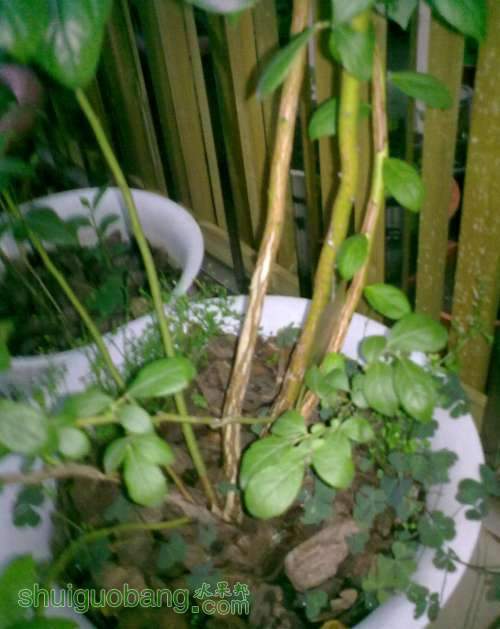 2013.6.27 012.jpg