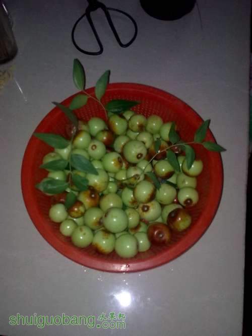 ͼ��0538.jpg