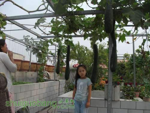 Ƭ 027.jpg