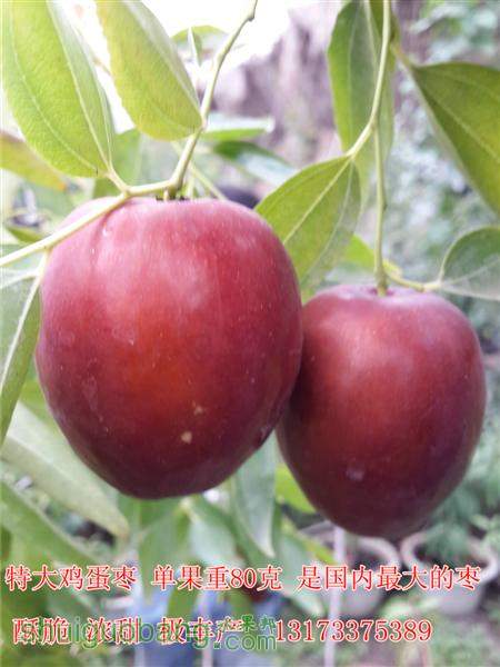 20130919_161733 ().jpg