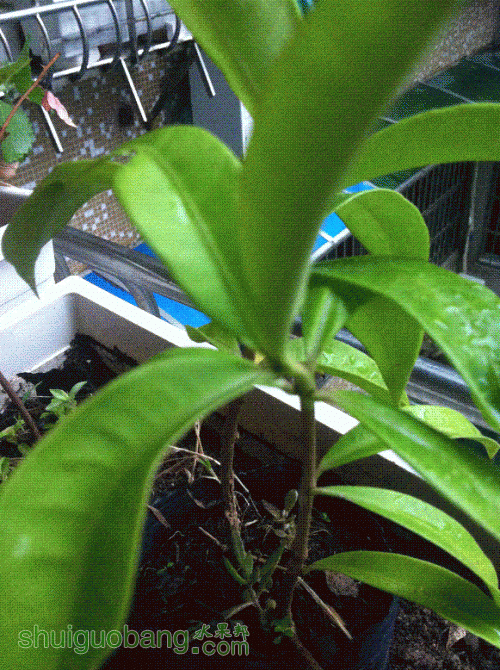 IMG_1791.GIF