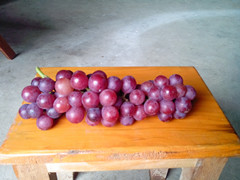 IMG_20130926_104303_.jpg