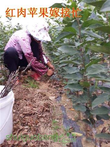 20130922_080405 (С).jpg