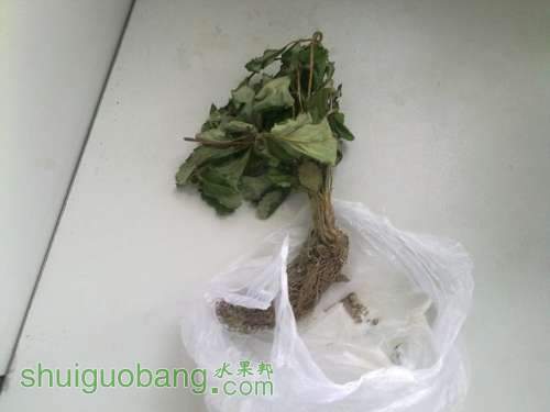 20130928122.jpg