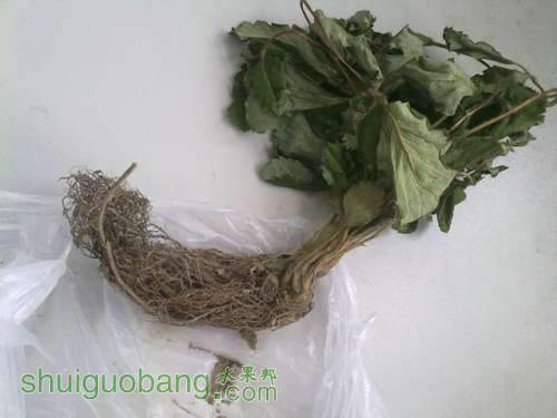 20130928123.jpg