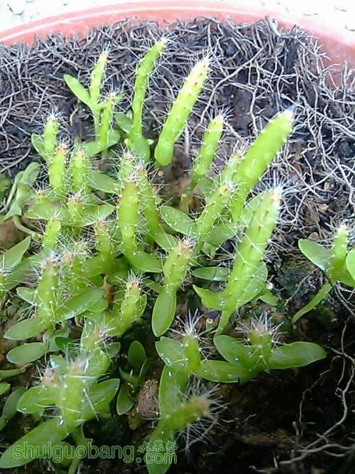 UC_Photo_028.jpg