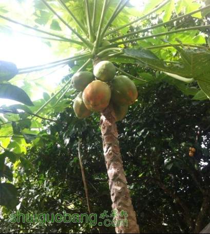 QQͼƬ20130930223158.jpg