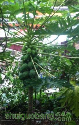 QQͼƬ20130930223434.jpg