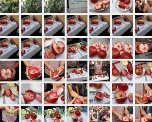 ��333 (С��).jpg