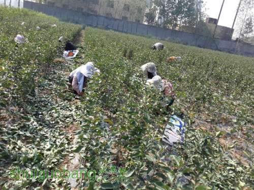 20131003_095421 (С��).jpg