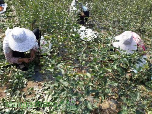 20131003_095427 (С��).jpg