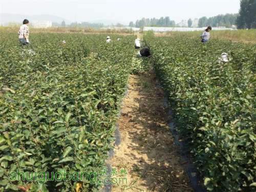 20131003_095452 (С��).jpg