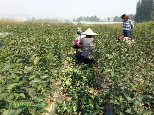 20131003_095521 (С��).jpg