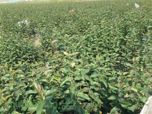 20131003_095531 (С��).jpg