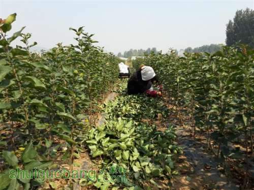 20131003_095732 (С��).jpg