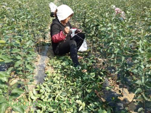 20131003_095737 (С��).jpg