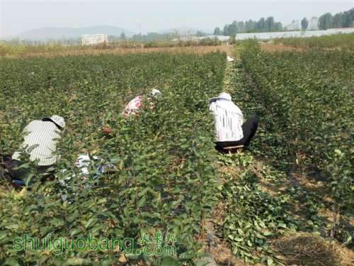 20131003_095803 (С��).jpg