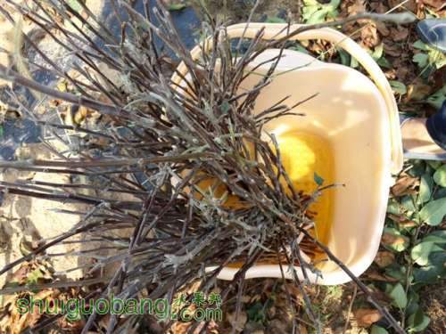 20131003_095827_1 (С��).jpg