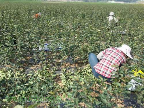 20131003_095833_1 (С��).jpg