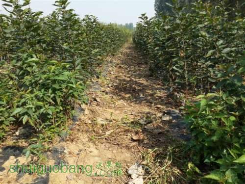 20131003_100250 (С��).jpg