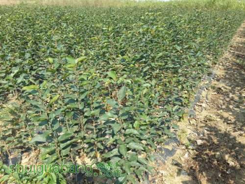 20131003_100254 (С��).jpg