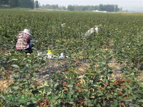 20131003_100618 (С��).jpg