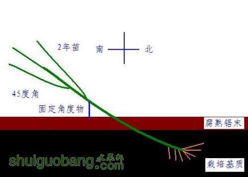 ��������緽��֮һ-���Ǽ�ѿ��-1.JPG