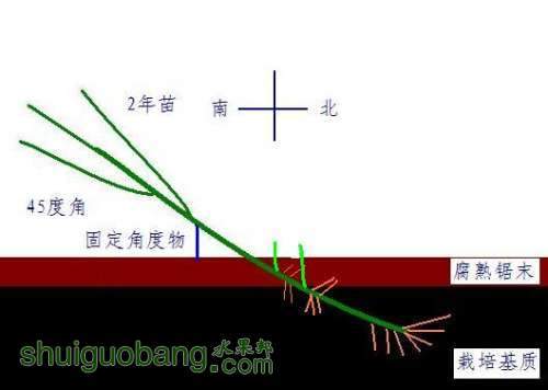 ��������緽��֮һ-���Ǽ�ѿ��-2.JPG