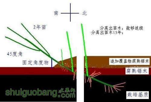 ��������緽��֮һ-���Ǽ�ѿ��-5.JPG