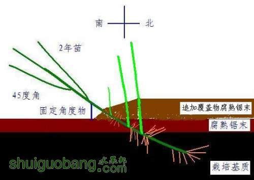 ��������緽��֮һ-���Ǽ�ѿ��-4.JPG