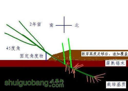 ��������緽��֮һ-���Ǽ�ѿ��-3.JPG