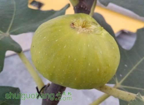 QQ��ͼ20131004180554333.jpg