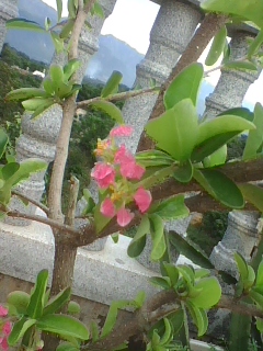 img1005_092127736.jpg