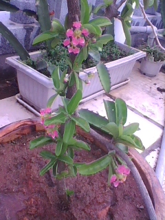 img1005_092211696.jpg