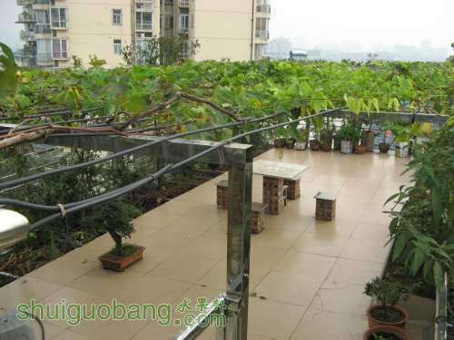 Ƭ 005.jpg