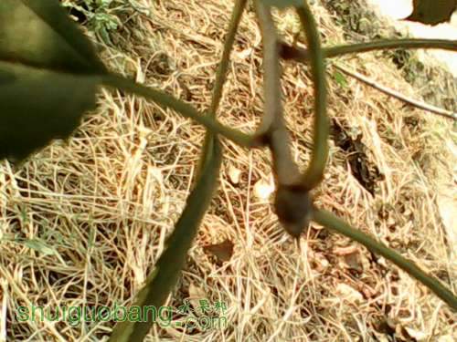 IMG0004A.jpg
