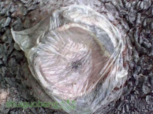 IMG0020A.jpg