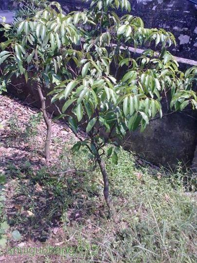 ������С 20131007226.jpg