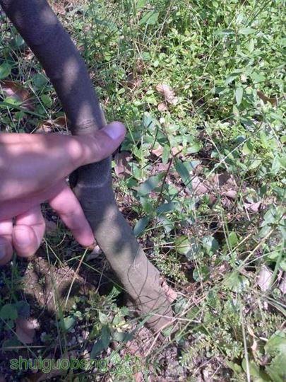 ������С 20131007227.jpg