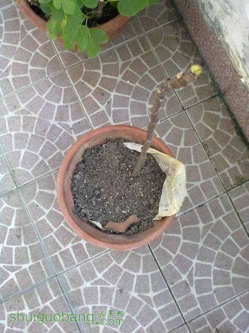 ������С 20131007233.jpg
