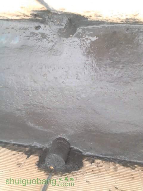 YP20130923170248.jpeg