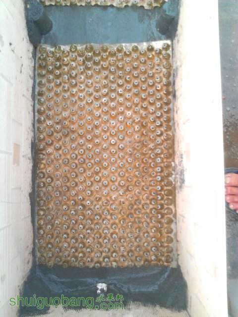 YP20130923170542.jpeg