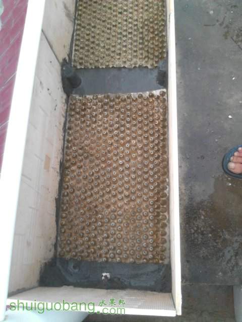 YP20130923170555.jpeg