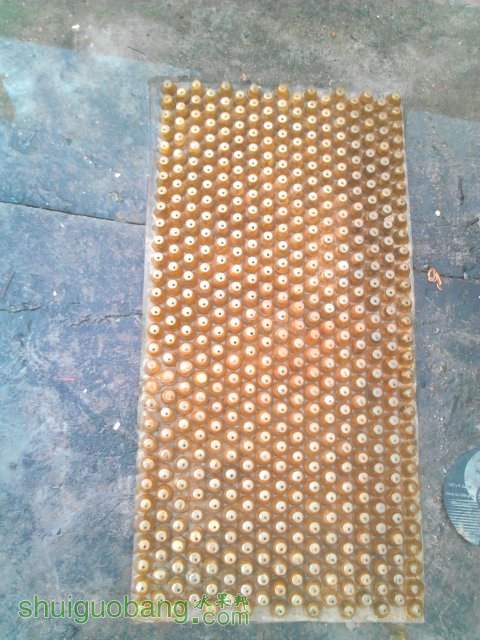 YP20130924074734.jpeg