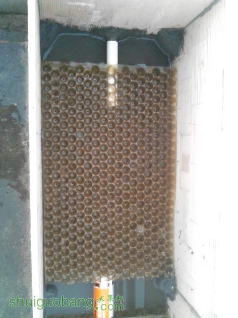 YP20130924074814.jpeg