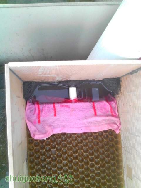 YP20130924075122.jpeg