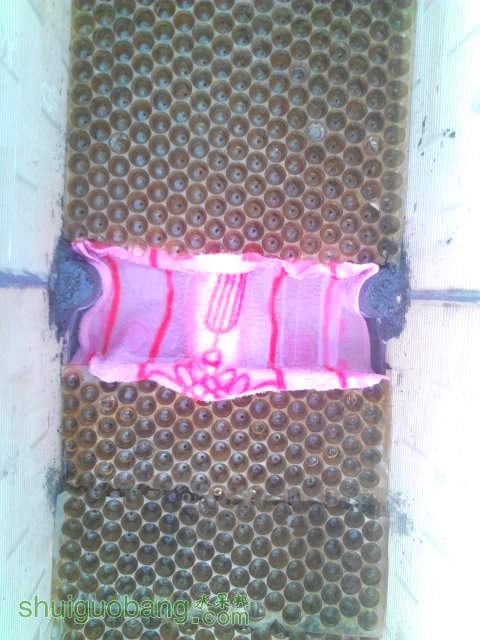 YP20130924075146.jpeg