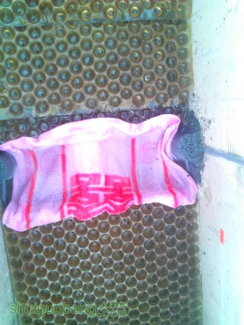 YP20130924075217.jpeg